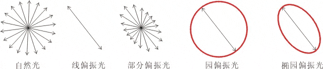 什么是偏振光？偏振光是如何完成檢測(cè)的？