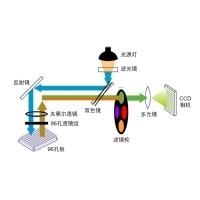 什么是熒光定量PCR、數(shù)字PCR？