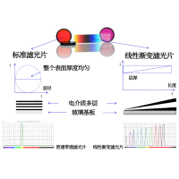 線性漸變?yōu)V光片是什么？有何特點(diǎn)？