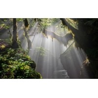光的干涉、衍射、折射、反射、散射